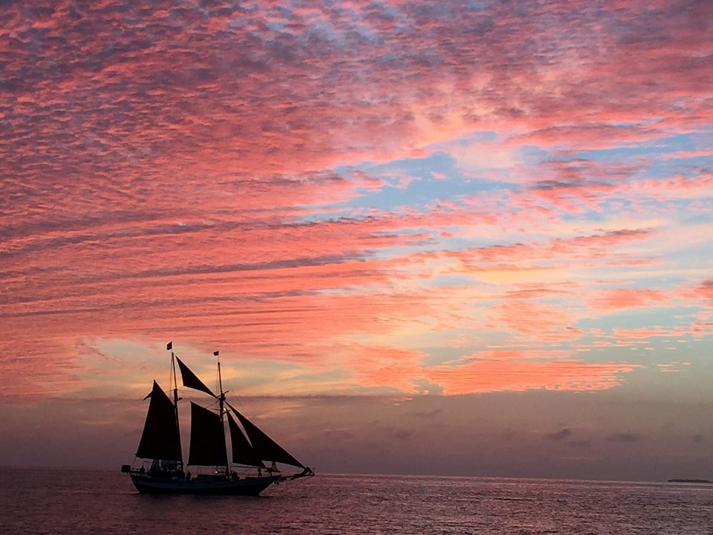 Into the Heart of the Wild